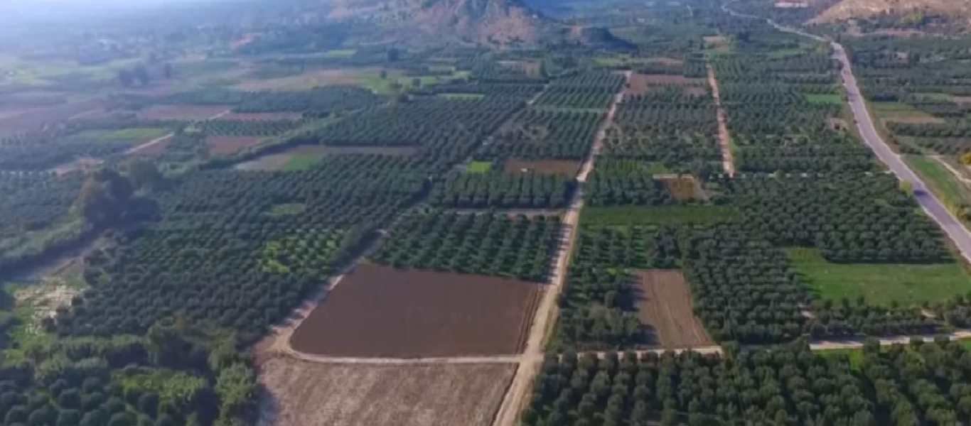 Μεσαρά: Τι έδειξε η ιατροδικαστική εξέταση για τον 20χρονο που βρέθηκε νεκρός σε χωράφι